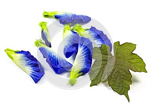 Flowers made Ã¢â¬â¹Ã¢â¬â¹of herbs